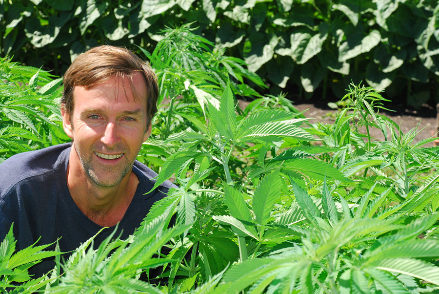 Hemp at the Crossroads