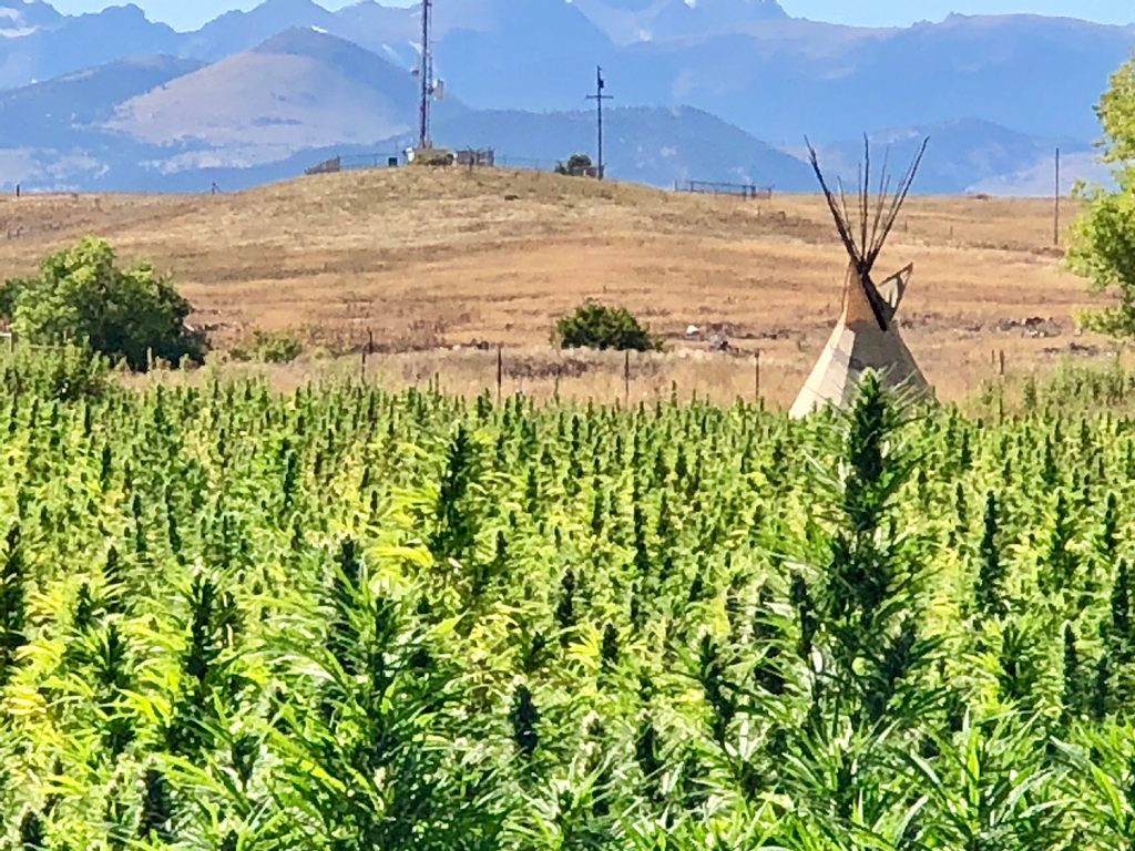 hemp-tipi